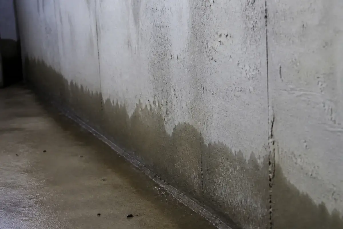 Damp basement wall after rain